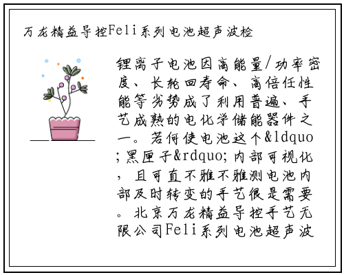 万龙精益导控Feli系列电池超声波检测系统助力新能源电池产业升级_bellbet贝博最新官网